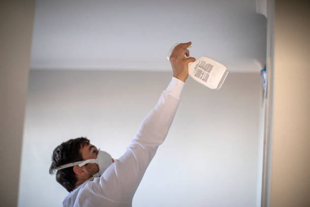 Best Toxic Mold Removal  in Harbor Bluffs, FL