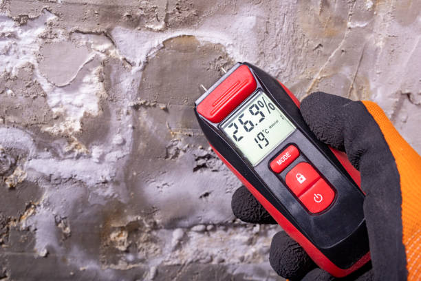 Best Crawl Space Mold Removal  in Harbor Bluffs, FL